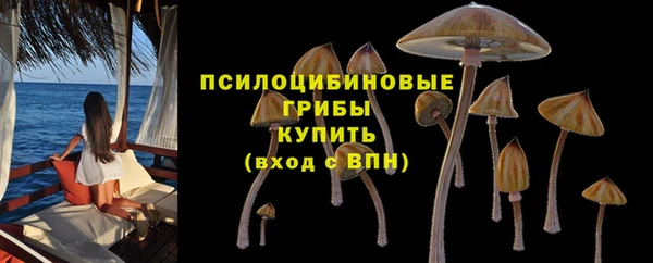 меф Кинешма