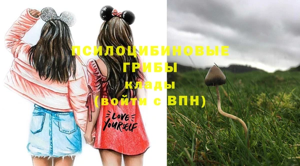 a pvp Киреевск