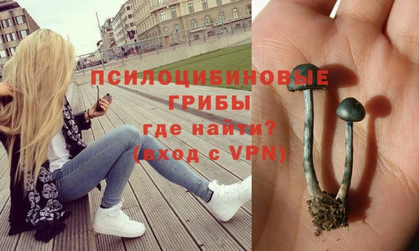 a pvp Киреевск