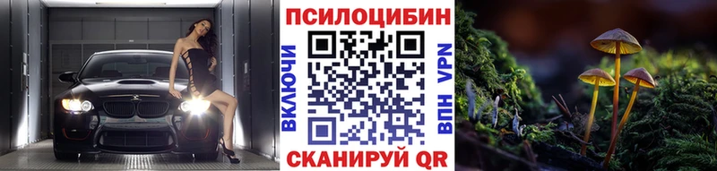 Псилоцибиновые грибы GOLDEN TEACHER  Купить  Верхняя Тура 